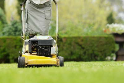 Close-up low section of woman cutting grass with lawn mower