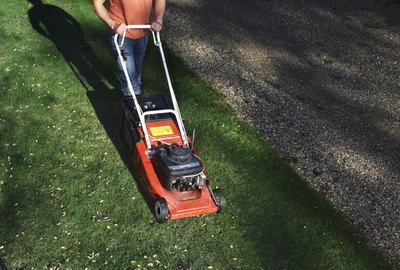 Young man mowing lawn, elevated view