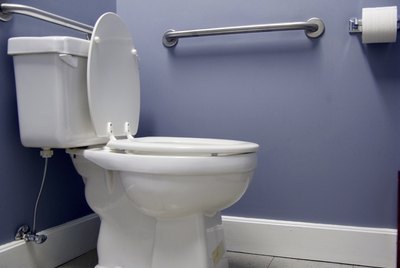 Handicap enabled toilet