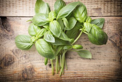 Basil.