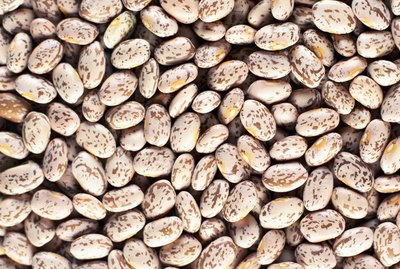 Pinto beans (full frame)