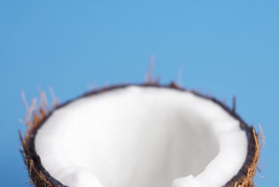 Coconut