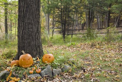 Halloween decorations
