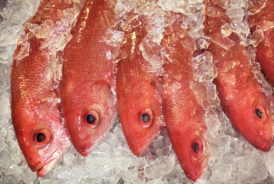 Fish on ice