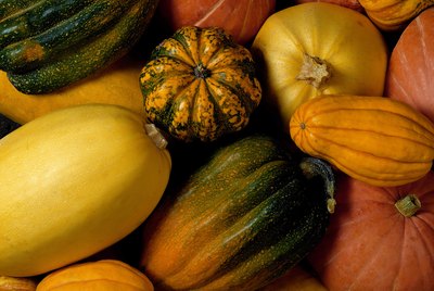 Assortment of squash