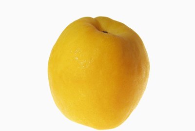 Close-up of an apricot