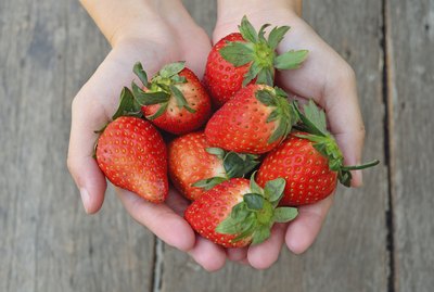 Fresh strawberries in the hands on a wood background