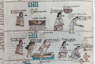 Aztec education of boys and girls