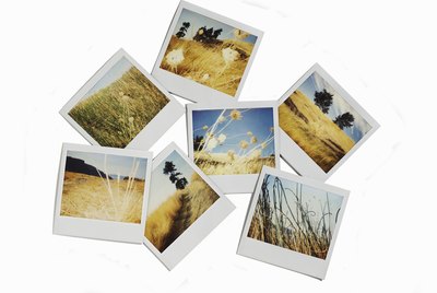 Polaroid images of landscapes