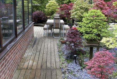 Image of bonsai trees in a garden next to conservatory