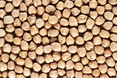 Garbanzo beans (full frame)