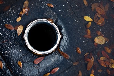 Leaves in puddle by drain