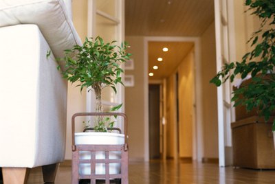 Doorway leading into hallway