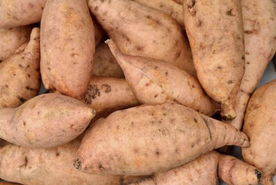 Sweet Potato