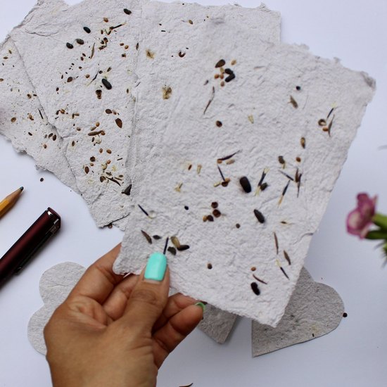 How to Make Seed Paper