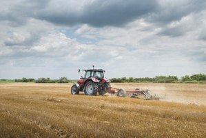 Ford 8n in field #10