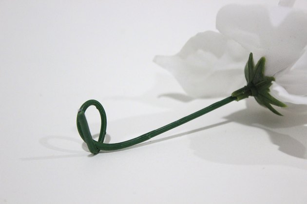flower stem