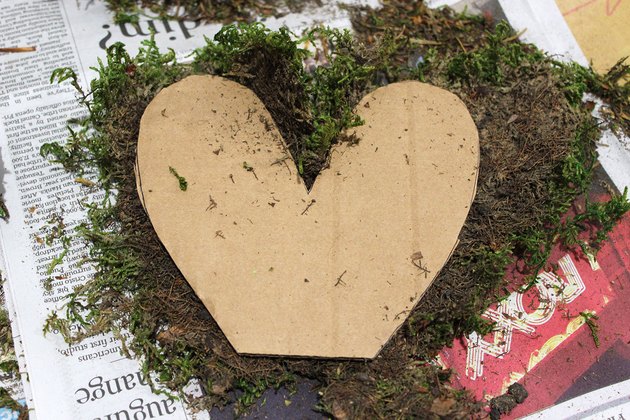 moss