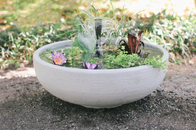 DIY Container Water Garden (Pond in a Pot)