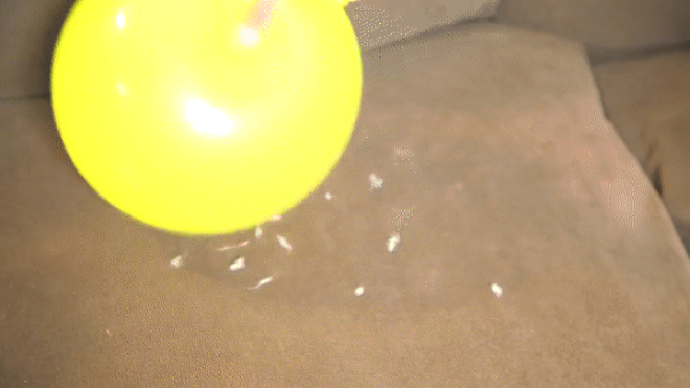 Use a Balloon's Static Charge