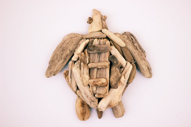 driftwood turtle