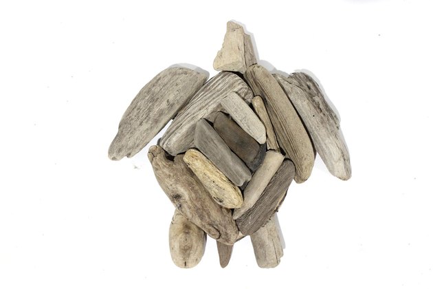 shell