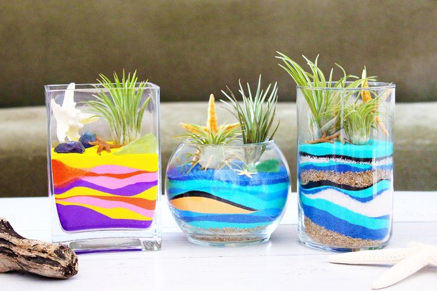 DIY Sand Art Terrarium