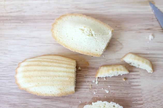 madeleine shells