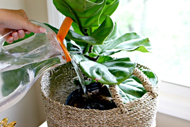 guide to recycling and reusing plastic items