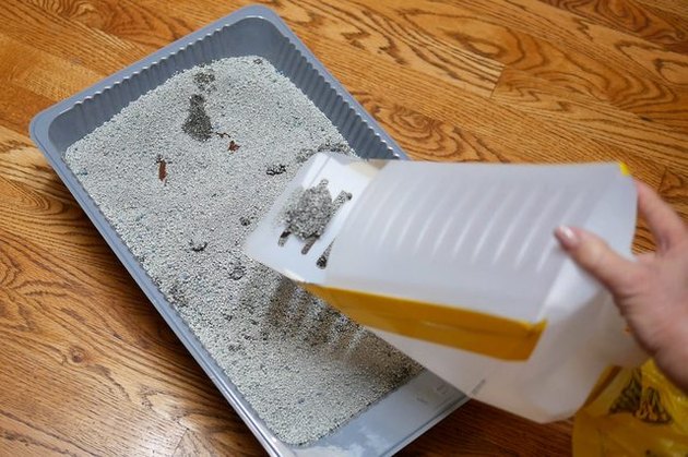 guide to recycling and reusing plastic items