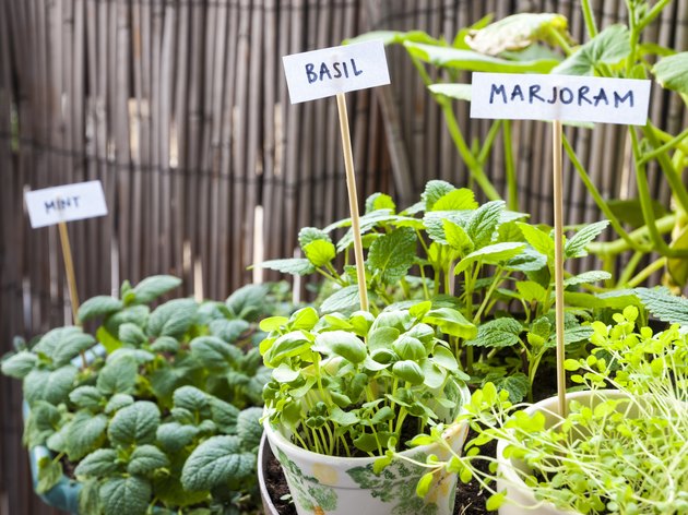 10 DIY Plant Markers You Can Make From Trash