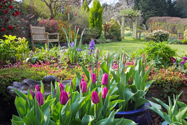 10 Plants & Flowers to Beautify Your Garden This Spring