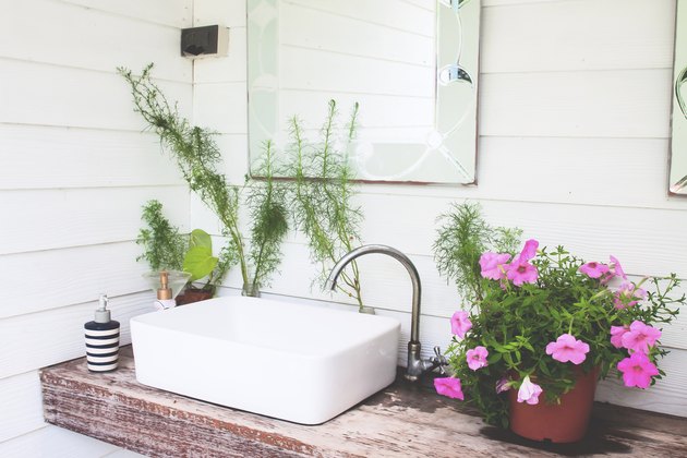 The 10 Best Bathroom-Friendly Plants