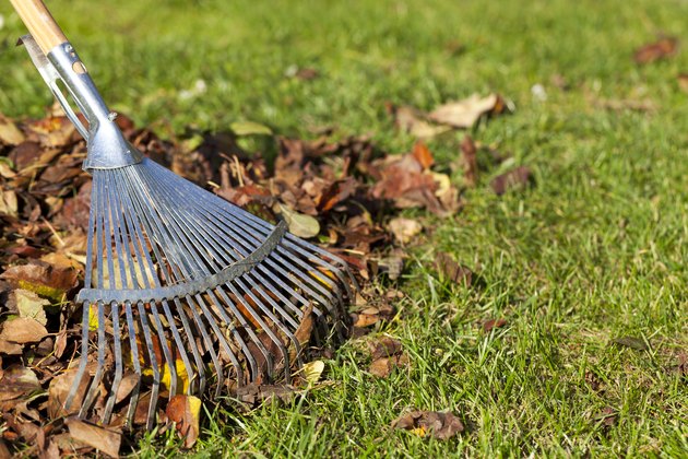 10 Useful Fall Gardening Tips You Should Know