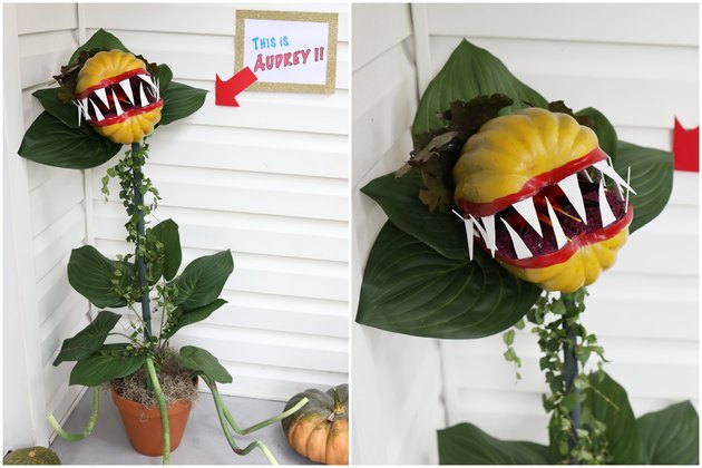 DIY 'Little Shop of Horrors' Audrey II Venus Flytrap