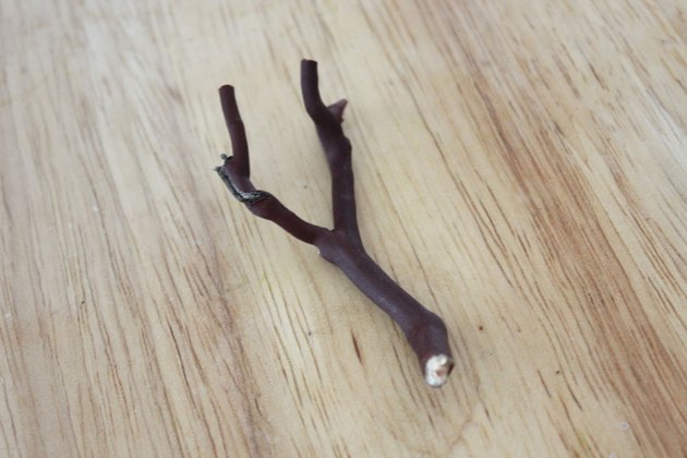 twig