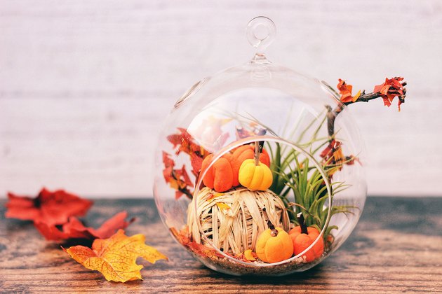 DIY Autumn Scene Terrarium