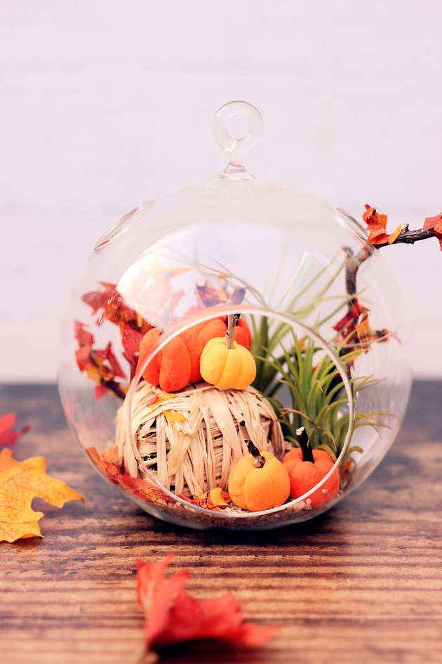 fall terrarium