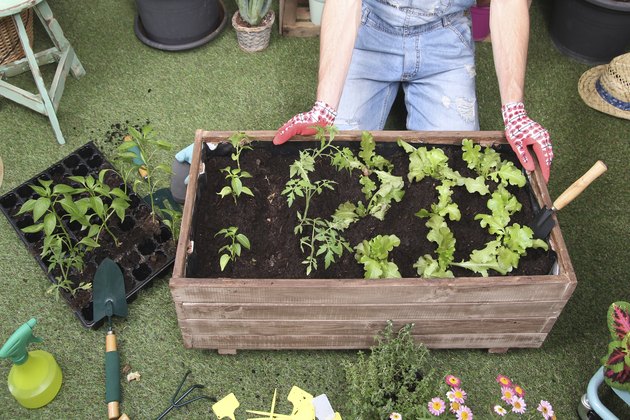 5 Gardening Trends Taking Over 2021