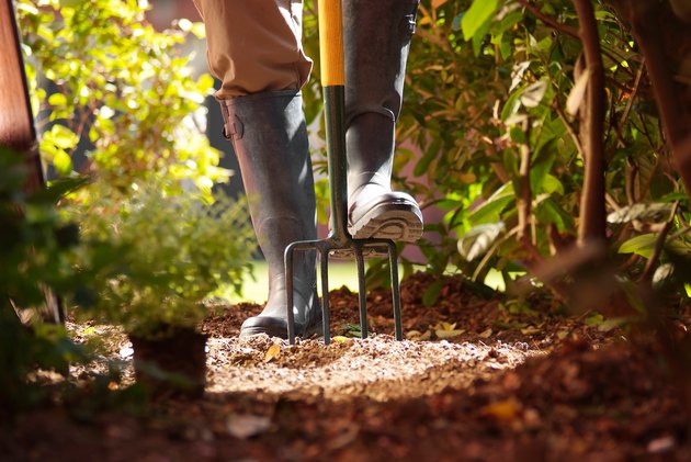 The Best Digging Forks for Gardening