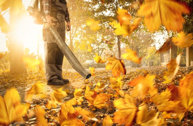 10 Clever Ways to Use a Leaf Blower