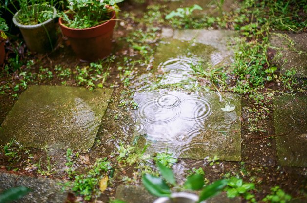 Best Ways to Improve Drainage in a Vegetable Garden