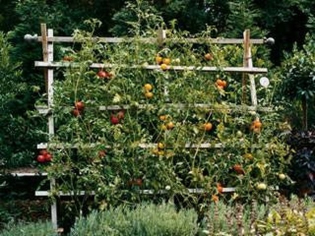 How To Make a Garden Trellis | eHow