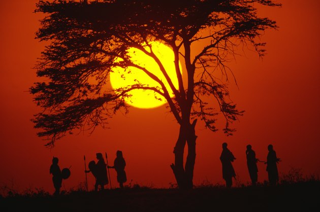 Silhouette of people by a tree