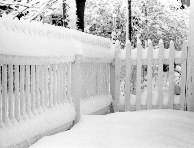 Photo, snow covered fence