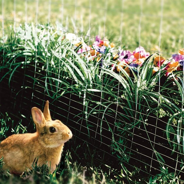 What Is Composting? A Guide for Beginners