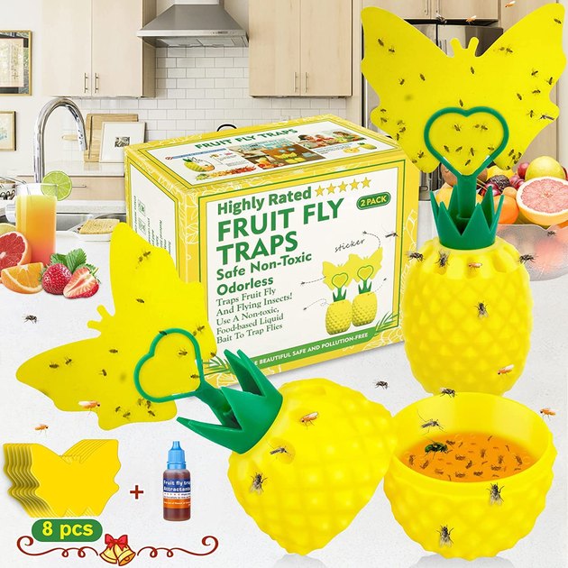 The Ultimate Fruit Fly Trap (Pack of 2) - Indoor Kitchen Non-Toxic Reusable  Traps Catches or Kills Fruit Flies with Natural Bait or Lure