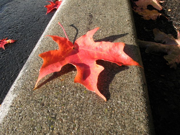 how-to-get-leaf-stains-off-concrete-ehow