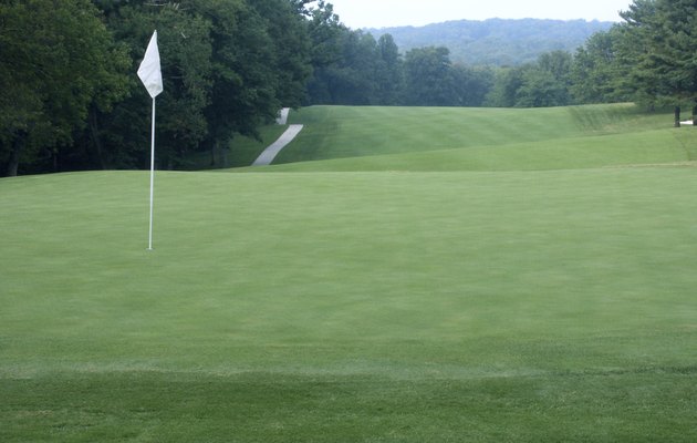 golf course 2