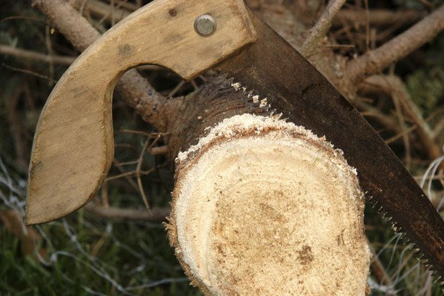 christmas tree and antique saw